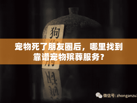 宠物死了朋友圈后,哪里找到靠谱宠物殡葬服务? 宠物死了朋友圈后,哪里找到靠谱宠物殡葬服务?
