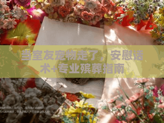 当室友宠物走了，安慰话术+专业殡葬指南