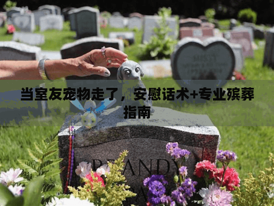 当室友宠物走了，安慰话术+专业殡葬指南