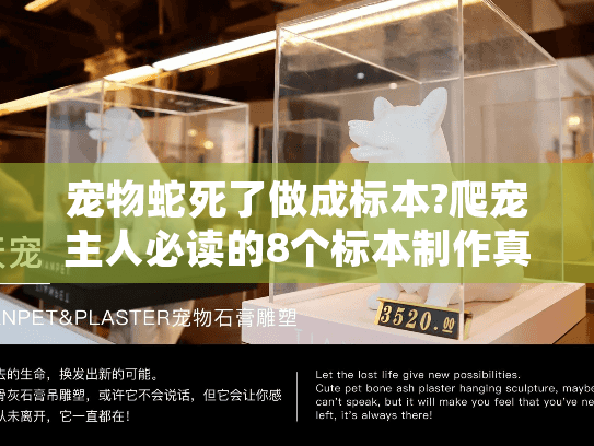 宠物蛇死了做成标本?爬宠主人必读的8个标本制作真相
