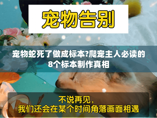 宠物蛇死了做成标本?爬宠主人必读的8个标本制作真相