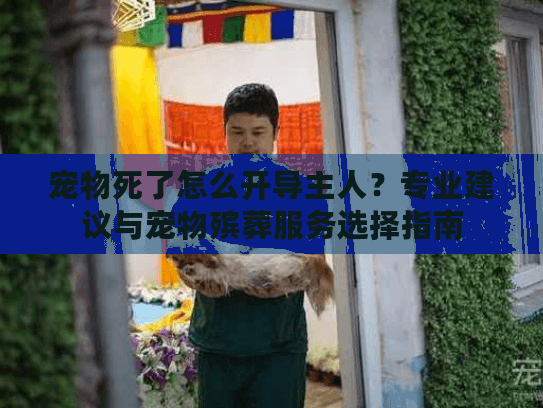 宠物死了怎么开导主人？专业建议与宠物殡葬服务选择指南