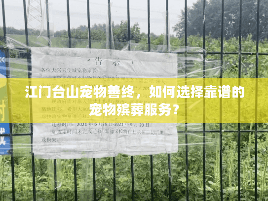 江门台山宠物善终，如何选择靠谱的宠物殡葬服务？