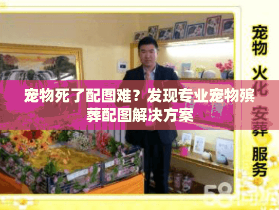 宠物死了配图难？发现专业宠物殡葬配图解决方案