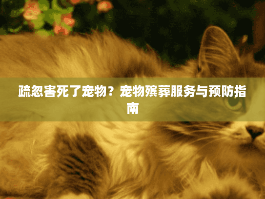 疏忽害死了宠物？宠物殡葬服务与预防指南