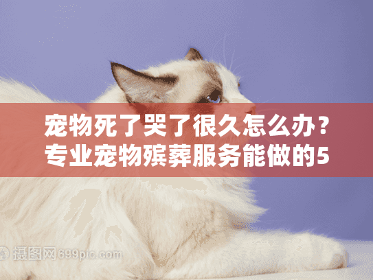 宠物死了哭了很久怎么办？专业宠物殡葬服务能做的5件暖心小事