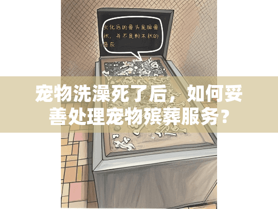 宠物洗澡死了后，如何妥善处理宠物殡葬服务？