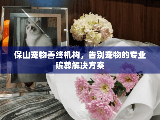 保山宠物善终机构，告别宠物的专业殡葬解决方案