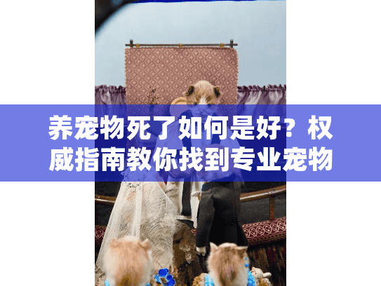 养宠物死了如何是好？权威指南教你找到专业宠物殡葬服务
