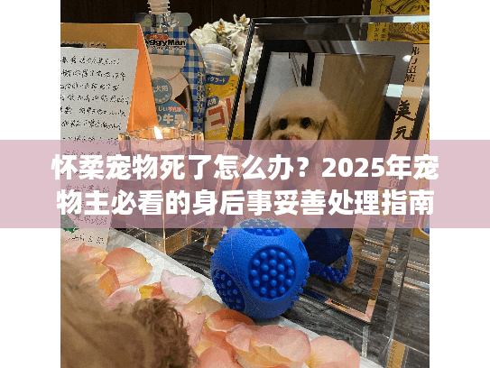 怀柔宠物死了怎么办？2025年宠物主必看的身后事妥善处理指南