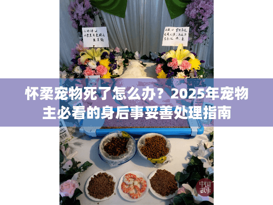 怀柔宠物死了怎么办？2025年宠物主必看的身后事妥善处理指南