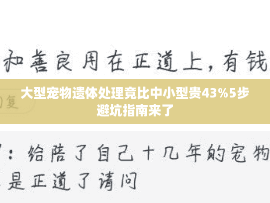 大型宠物遗体处理竟比中小型贵43%5步避坑指南来了