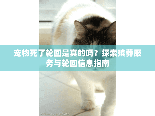 宠物死了轮回是真的吗？探索殡葬服务与轮回信息指南