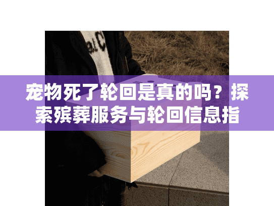 宠物死了轮回是真的吗？探索殡葬服务与轮回信息指南