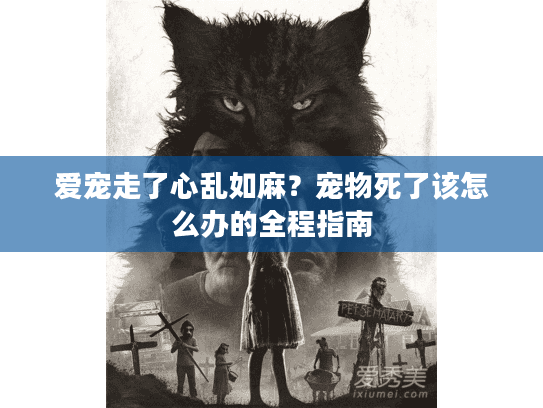 爱宠走了心乱如麻？宠物死了该怎么办的全程指南