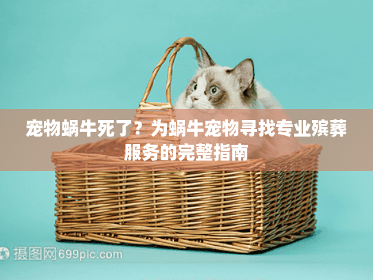 宠物蜗牛死了？为蜗牛宠物寻找专业殡葬服务的完整指南