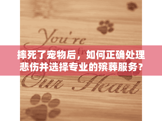 摔死了宠物后，如何正确处理悲伤并选择专业的殡葬服务？