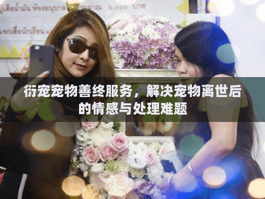 衍宠宠物善终服务，解决宠物离世后的情感与处理难题