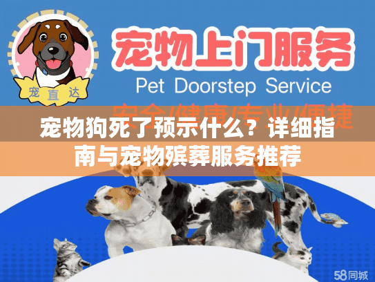 宠物狗死了预示什么？详细指南与宠物殡葬服务推荐