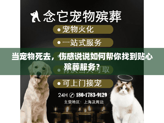 当宠物死去，伤感说说如何帮你找到贴心殡葬服务？