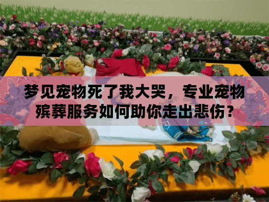 梦见宠物死了我大哭，专业宠物殡葬服务如何助你走出悲伤？