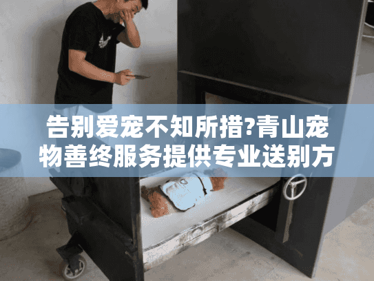 告别爱宠不知所措?青山宠物善终服务提供专业送别方案
