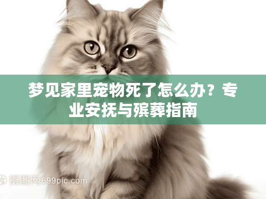 梦见家里宠物死了怎么办？专业安抚与殡葬指南
