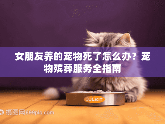 女朋友养的宠物死了怎么办？宠物殡葬服务全指南
