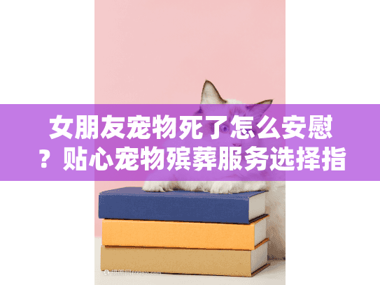 女朋友宠物死了怎么安慰？贴心宠物殡葬服务选择指南