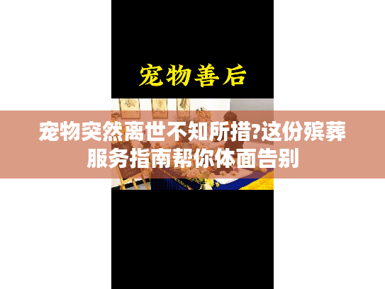 宠物突然离世不知所措?这份殡葬服务指南帮你体面告别