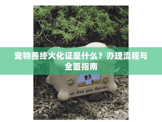 宠物善终火化证是什么？办理流程与全面指南