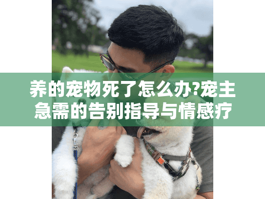 养的宠物死了怎么办?宠主急需的告别指导与情感疗愈方案