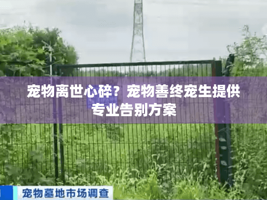 宠物离世心碎？宠物善终宠生提供专业告别方案
