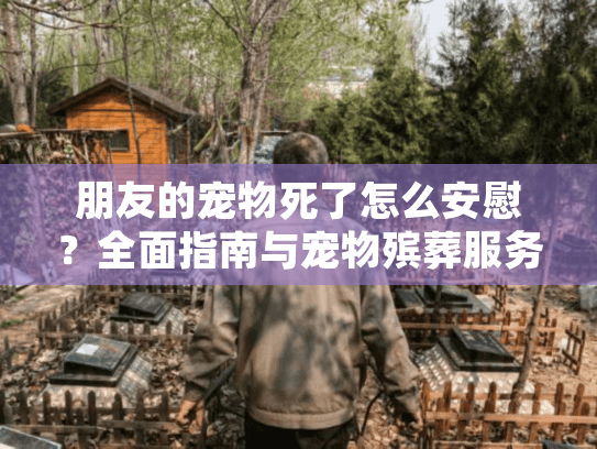 朋友的宠物死了怎么安慰？全面指南与宠物殡葬服务推荐