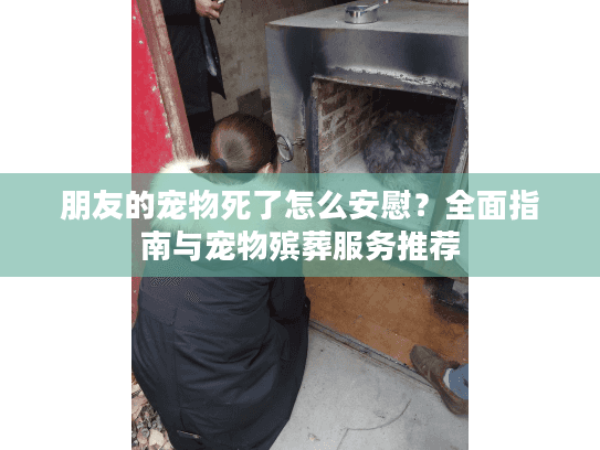 朋友的宠物死了怎么安慰？全面指南与宠物殡葬服务推荐