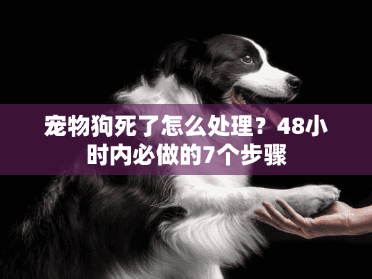 宠物狗死了怎么处理？48小时内必做的7个步骤