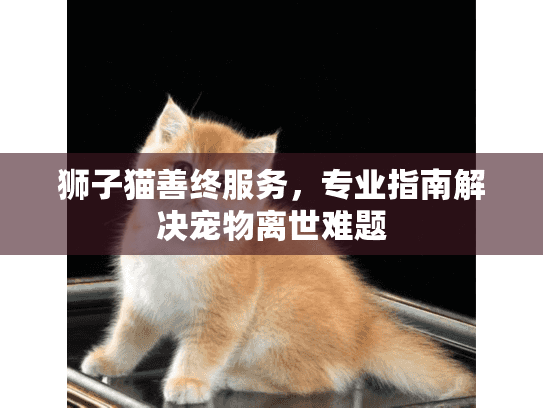 狮子猫善终服务，专业指南解决宠物离世难题