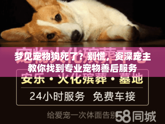 梦见宠物狗死了？别慌，资深宠主教你找到专业宠物善后服务
