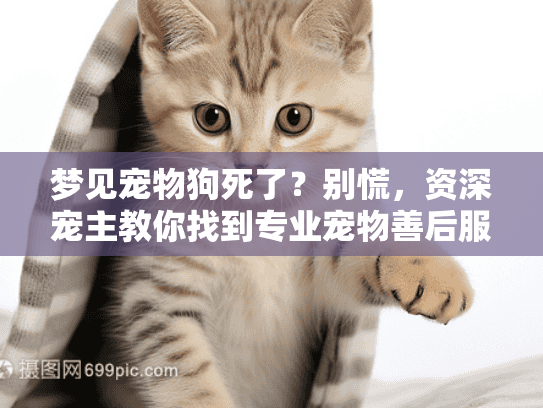 梦见宠物狗死了？别慌，资深宠主教你找到专业宠物善后服务