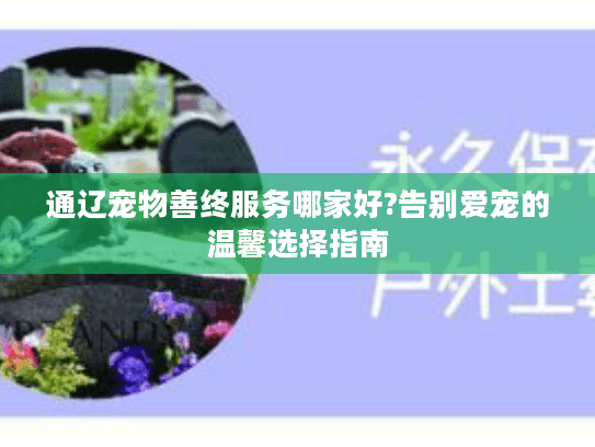 通辽宠物善终服务哪家好?告别爱宠的温馨选择指南