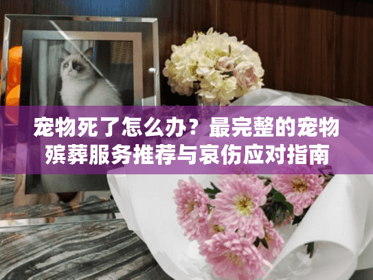 宠物死了怎么办？最完整的宠物殡葬服务推荐与哀伤应对指南