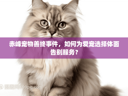 赤峰宠物善终事件，如何为爱宠选择体面告别服务？