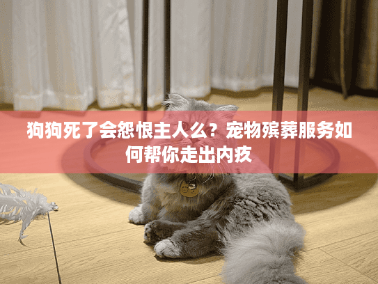 狗狗死了会怨恨主人么？宠物殡葬服务如何帮你走出内疚