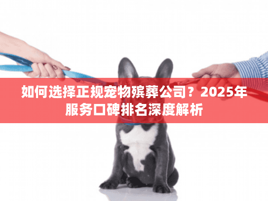 如何选择正规宠物殡葬公司？2025年服务口碑排名深度解析
