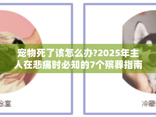 宠物死了该怎么办?2025年主人在悲痛时必知的7个殡葬指南