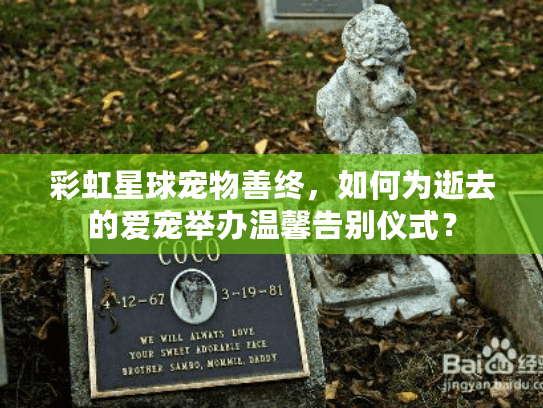 彩虹星球宠物善终，如何为逝去的爱宠举办温馨告别仪式？
