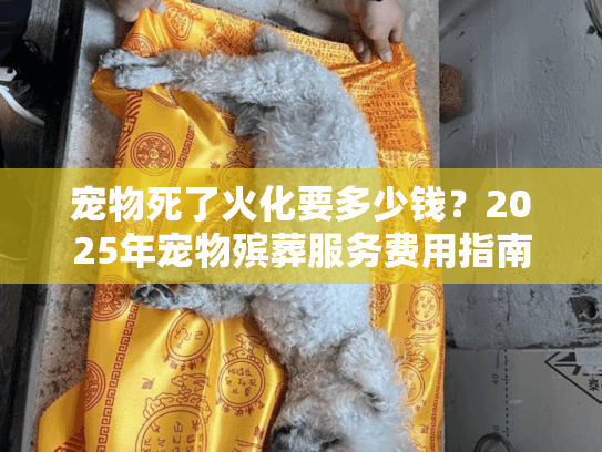 宠物死了火化要多少钱？2025年宠物殡葬服务费用指南