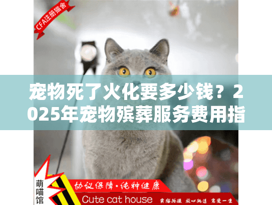 宠物死了火化要多少钱？2025年宠物殡葬服务费用指南
