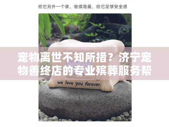 宠物离世不知所措？济宁宠物善终店的专业殡葬服务帮你