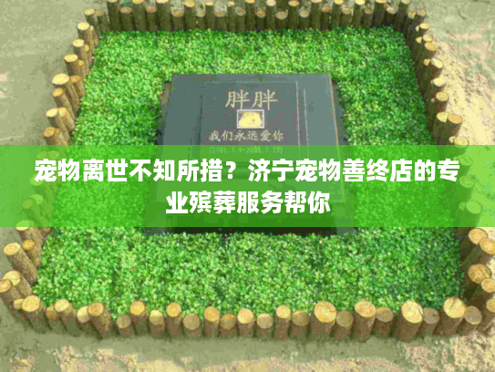 宠物离世不知所措？济宁宠物善终店的专业殡葬服务帮你